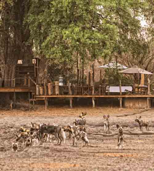 Kanga Camp - Mana Pools